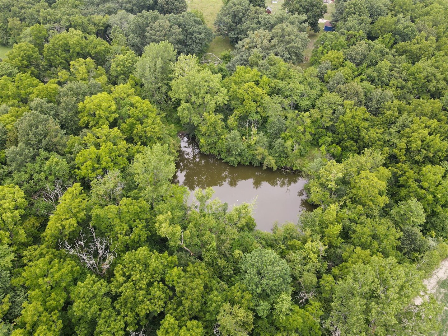 28334 Pleasant Dale Road Girard, IL 62640 - Photo 36 of 37 an aerial view of residential house with outdoor space and trees around