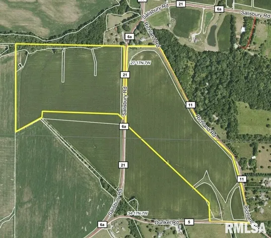 Salisbury Road, Pleasant Plains, IL 62677