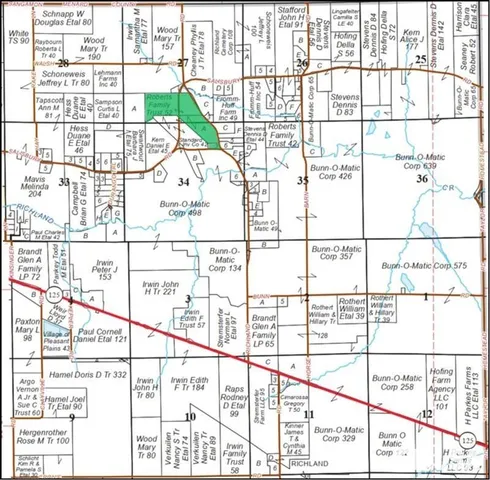 Salisbury Road, Pleasant Plains, IL 62677