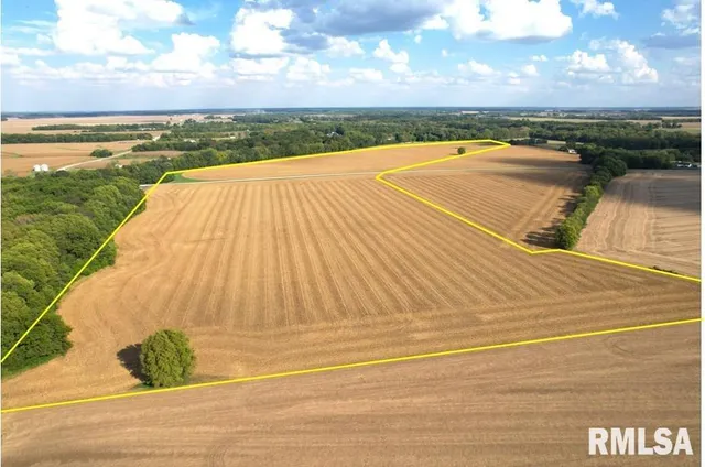 Salisbury Road, Pleasant Plains, IL 62677