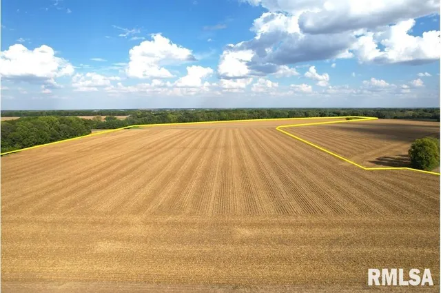 Salisbury Road, Pleasant Plains, IL 62677