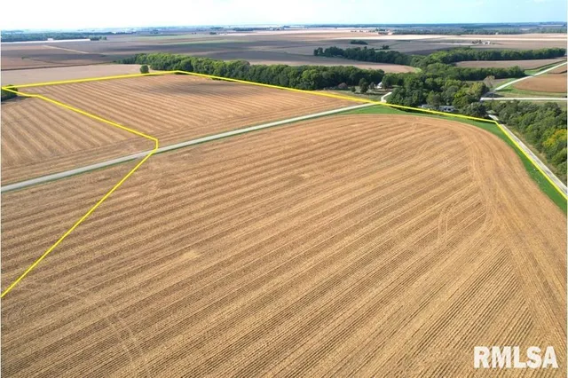 Salisbury Road, Pleasant Plains, IL 62677