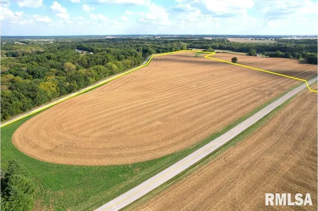 Salisbury Road, Pleasant Plains, IL 62677