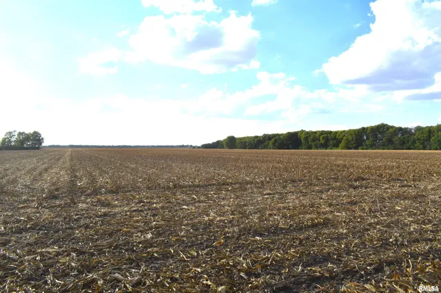 Salisbury Road, Pleasant Plains, IL 62677