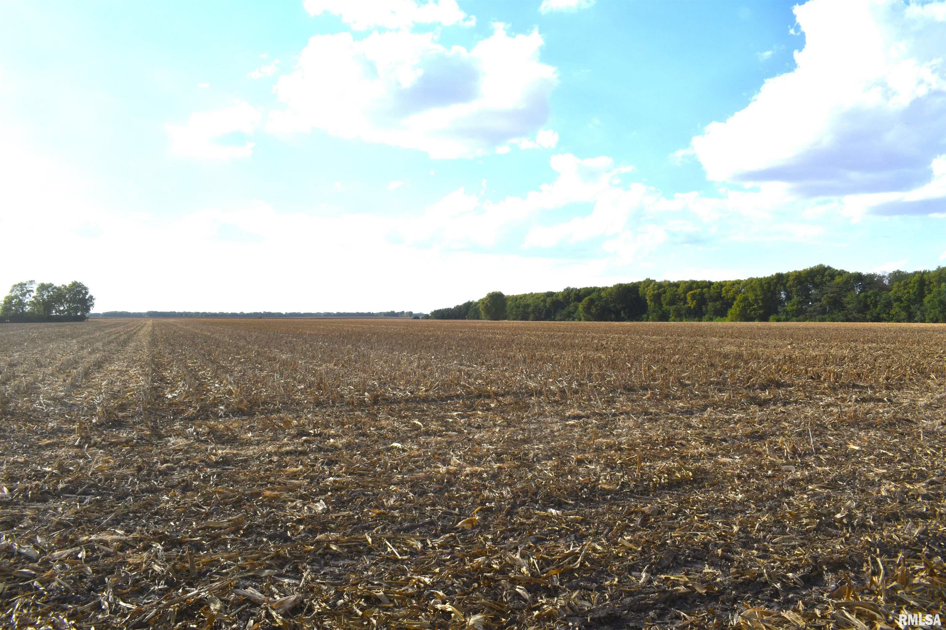 Salisbury Road Pleasant Plains, IL 62677 - Photo 8 of 11 Gallery Image 8
