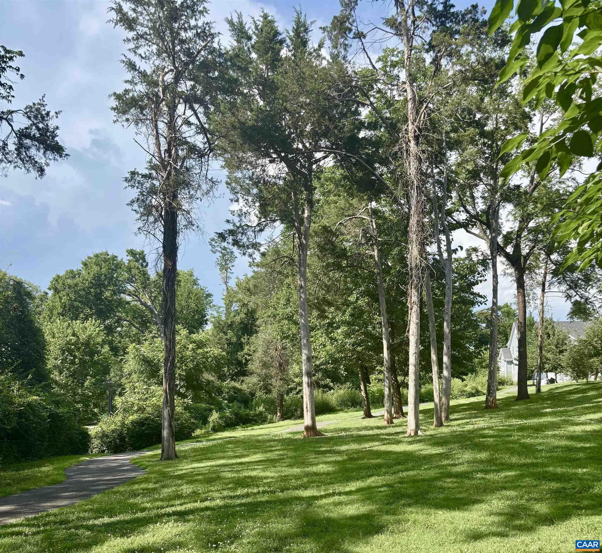 528 Trailside Drive Charlottesville, VA 22911 - Photo 45 of 51 a grassy field with trees in the background