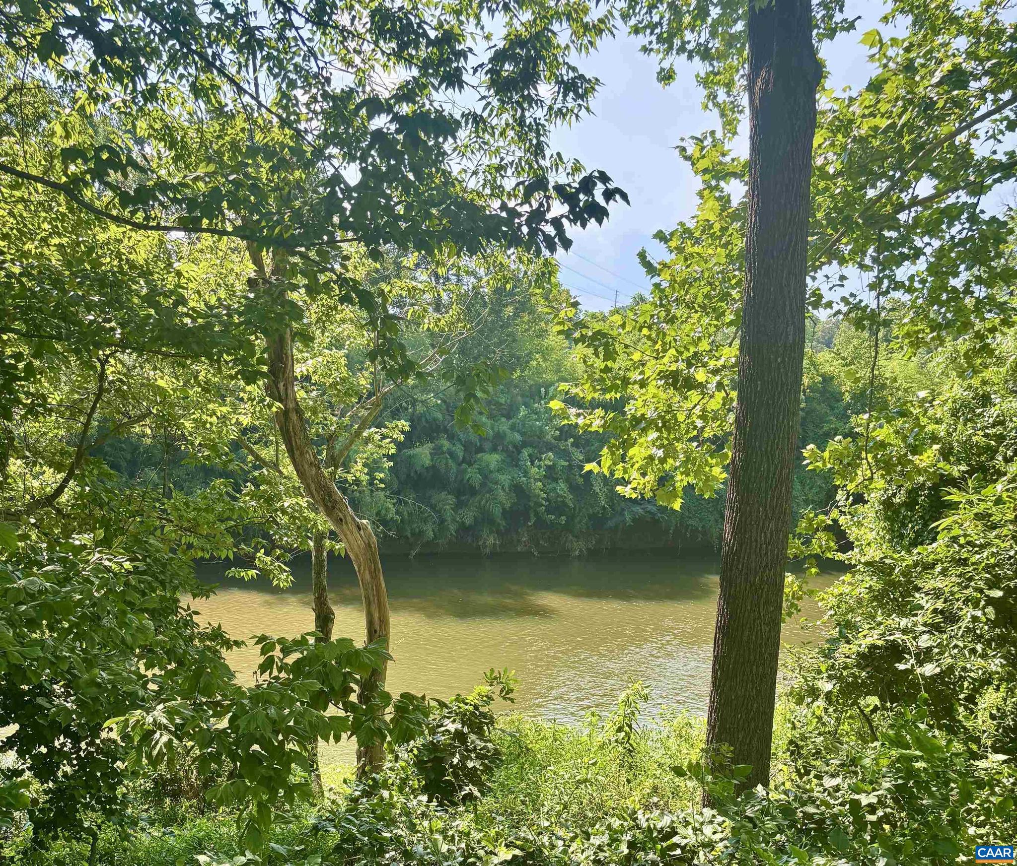 528 Trailside Drive Charlottesville, VA 22911 - Photo 46 of 51