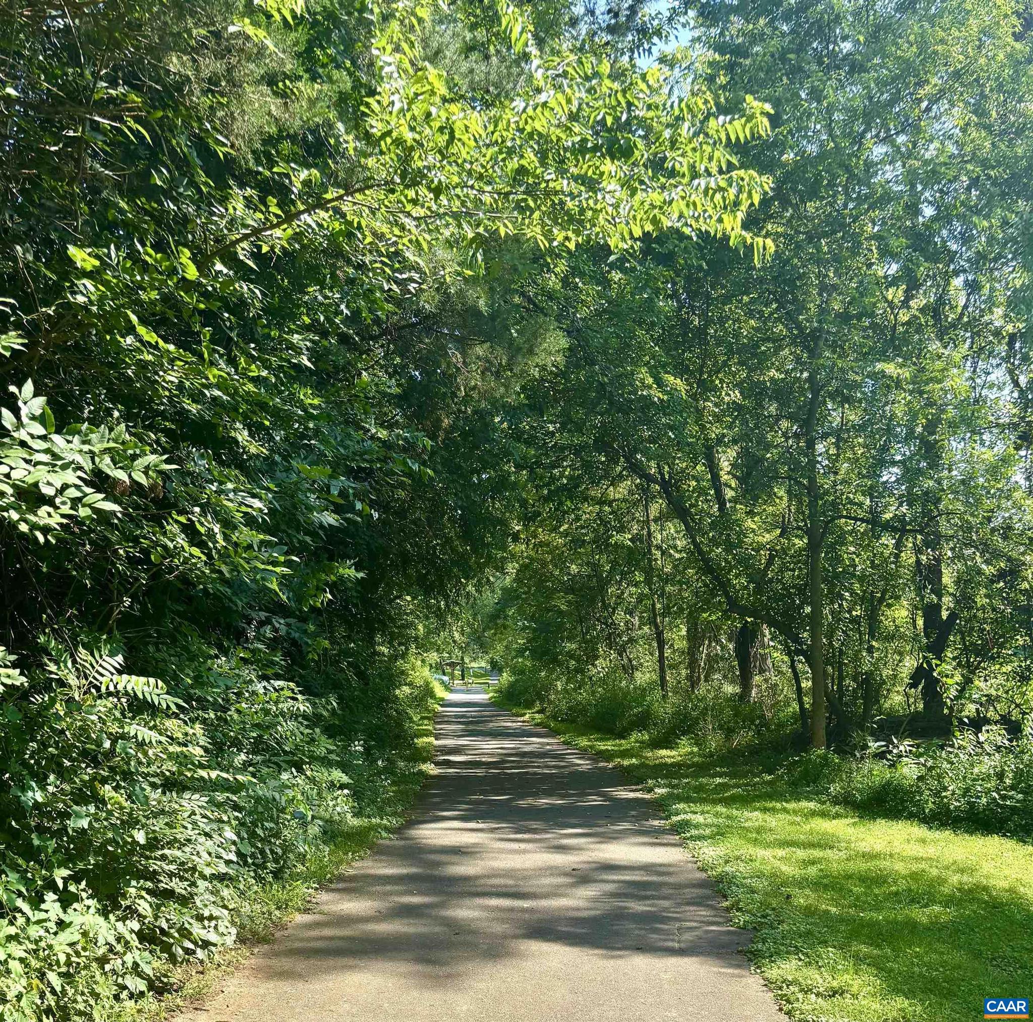 528 Trailside Drive Charlottesville, VA 22911 - Photo 49 of 51