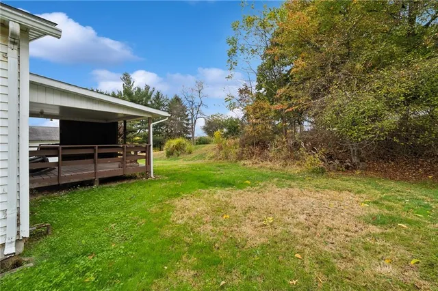 a view of a backyard with couches plants and large tree