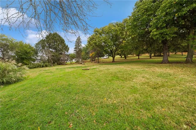 a backyard of a house with lots of green space