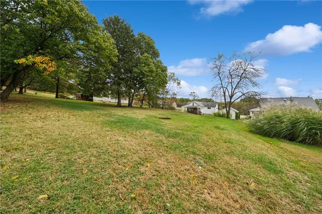 a backyard of a house with lots of green space