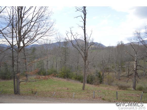 329 Ridgedale Road Clyde, NC 28721 - Photo 4 of 22
