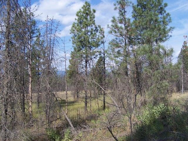 Tbd Jepsen Road Springdale, WA 99173 - Photo 11 of 18