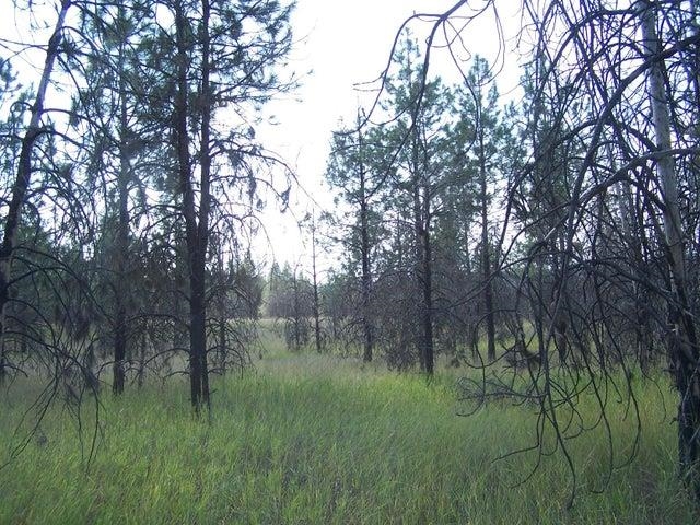 Tbd Jepsen Road Springdale, WA 99173 - Photo 12 of 18
