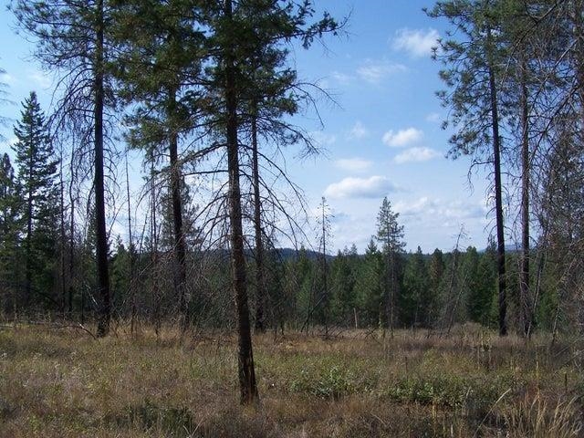 Tbd Jepsen Road Springdale, WA 99173 - Photo 13 of 18