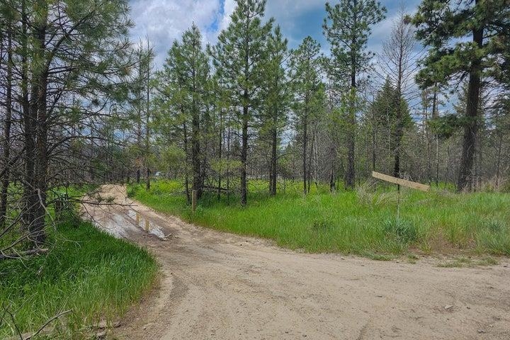 Tbd Jepsen Road Springdale, WA 99173 - Photo 8 of 18