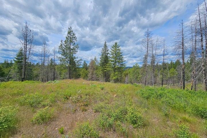 Tbd Jepsen Road Springdale, WA 99173 - Photo 9 of 18