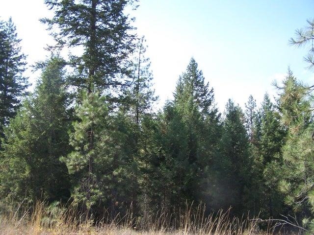 Tbd Jepsen Road Springdale, WA 99173 - Photo 10 of 18