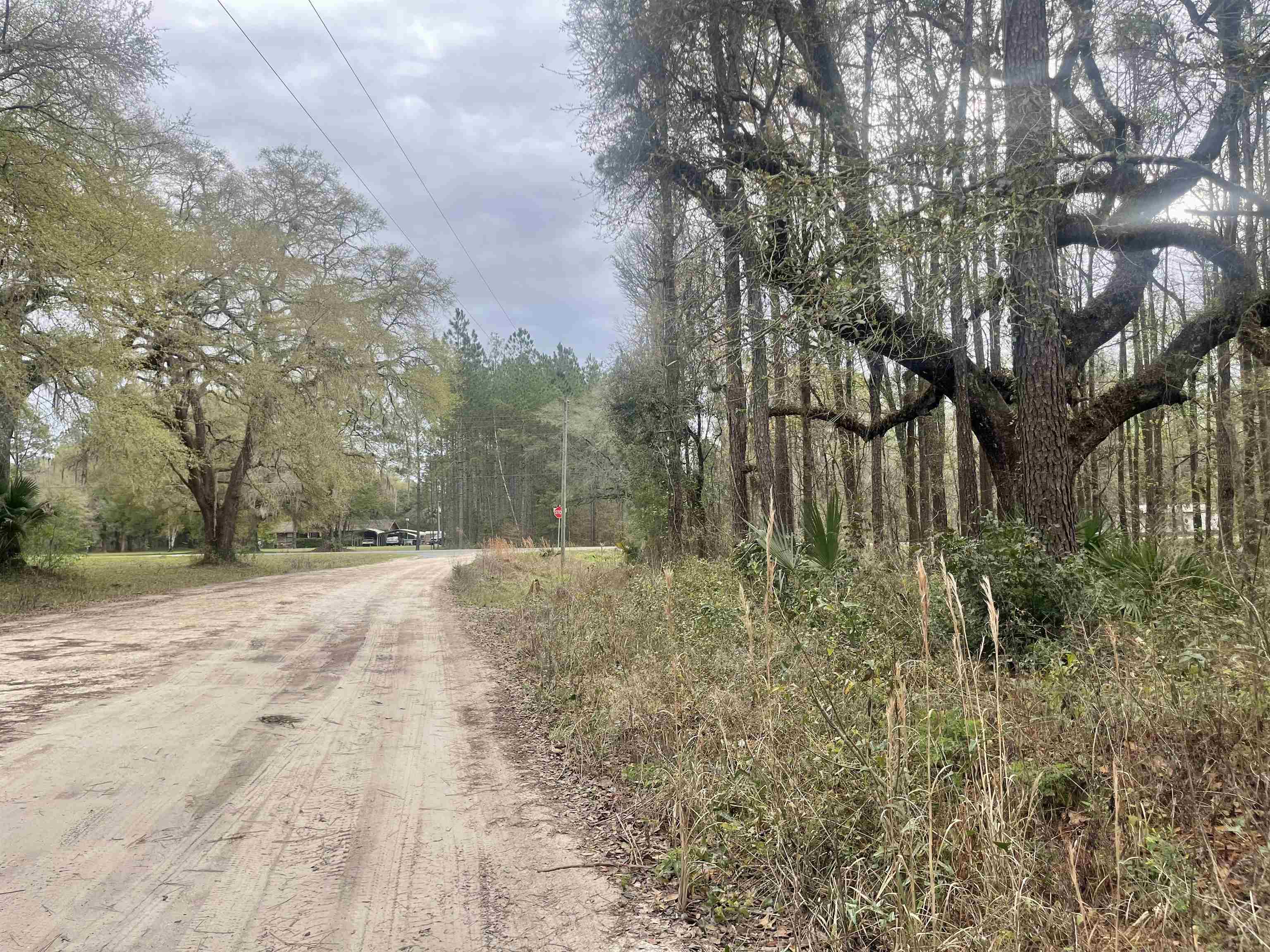 0 Paul Poppell Road Perry, FL 32347 - Photo 3 of 11