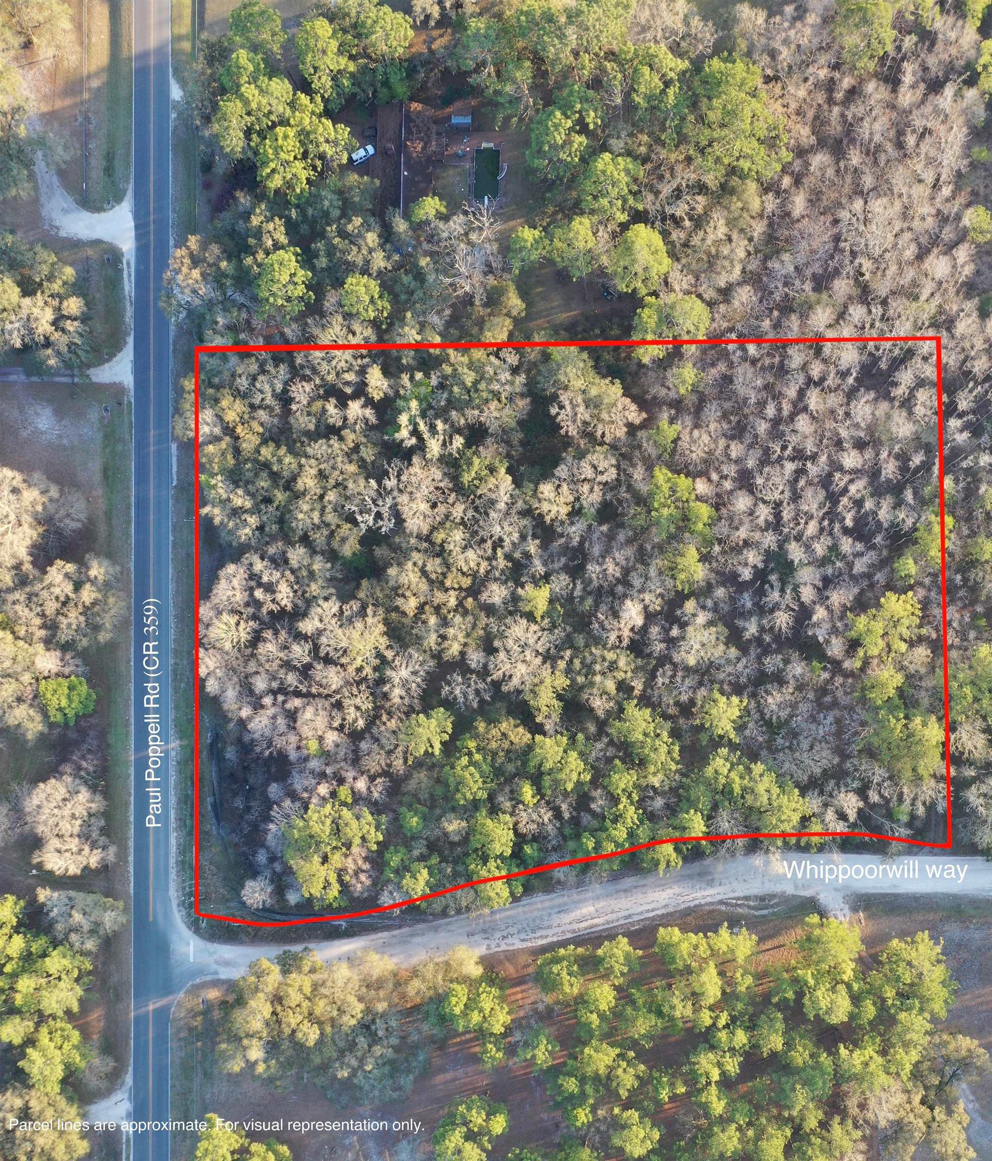 0 Paul Poppell Road Perry, FL 32347 - Photo 4 of 11