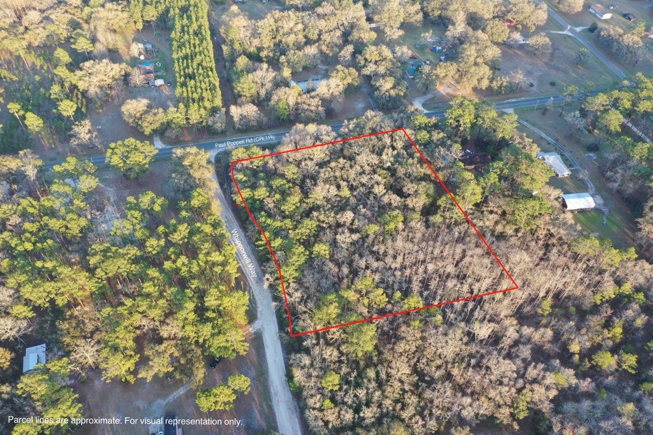 0 Paul Poppell Road Perry, FL 32347 - Photo 5 of 11