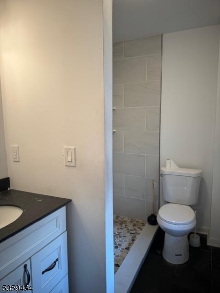 252 Spring Street Newton, NJ 07860 - Photo 17 of 18 a bathroom with a toilet and a sink