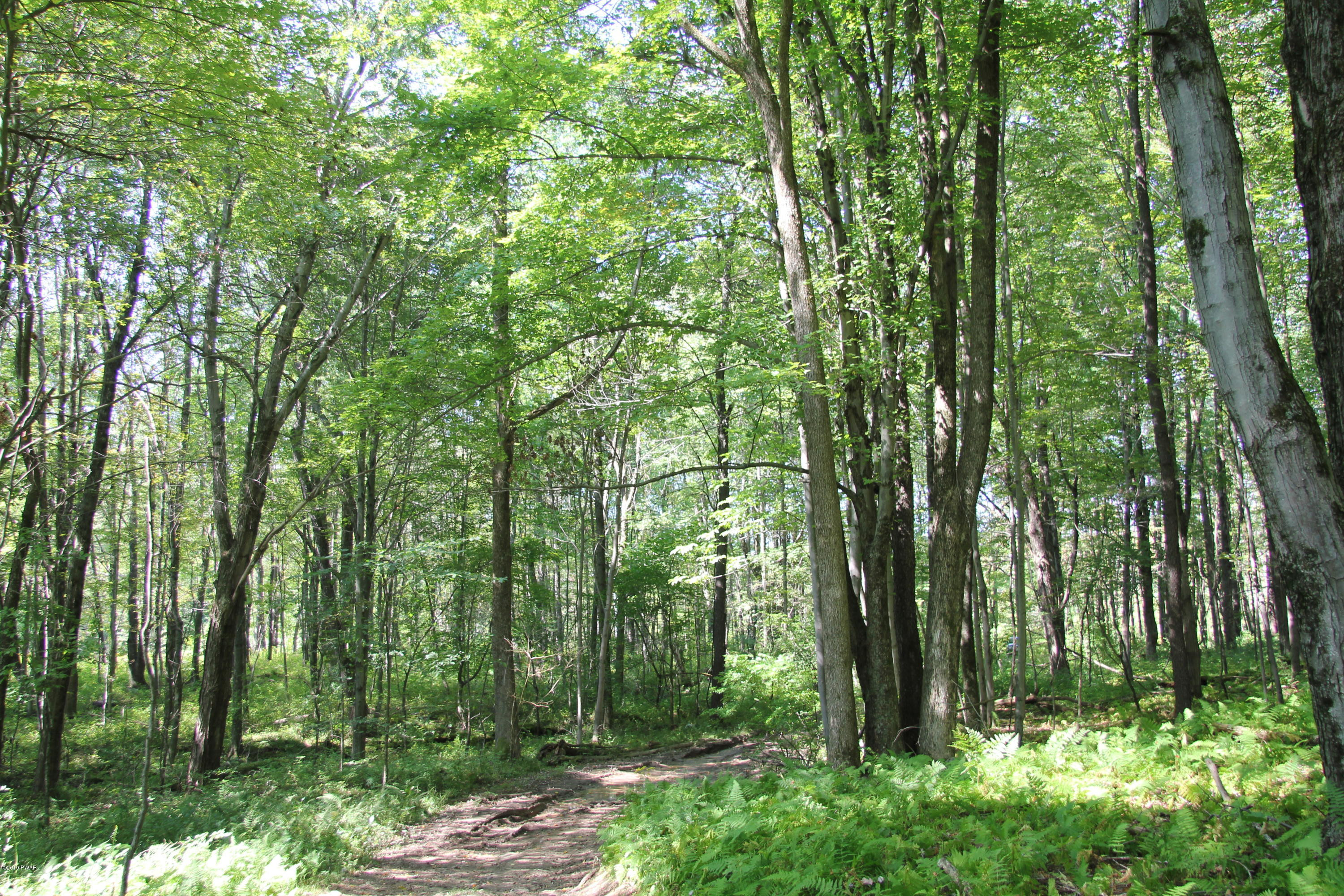 South Preston Road Lakewood, PA 18439 - Photo 15 of 16