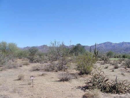 28013 Desierto Drive, Unit 388 Rio Verde, AZ 85263 - Photo 1 of 1 Primary Photo