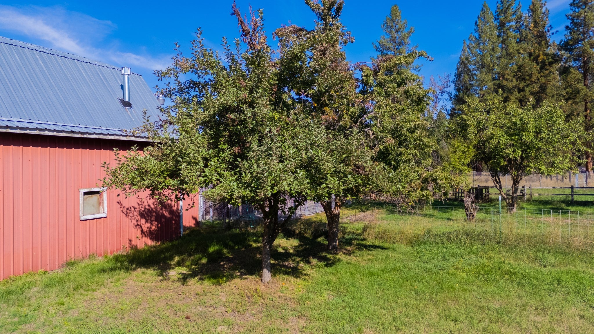 18985 Leo Hansen Road Florence, MT 59833 - Photo 28 of 48 Gallery Image 28