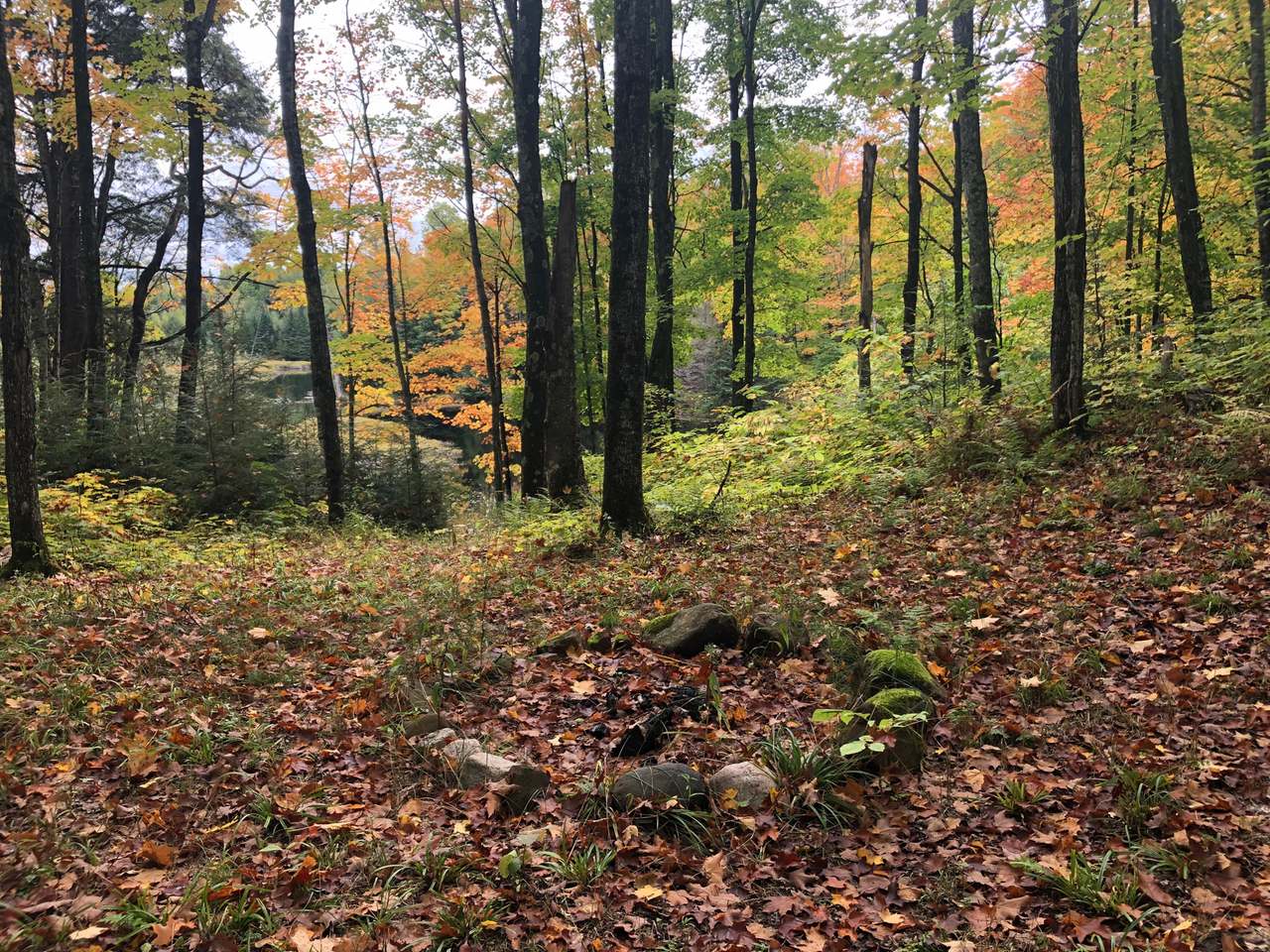Off Off Chaney Cove Road, Unit 5 9 AC Wakefield, MI 49968 - Photo 11 of 38 Gallery Image 11