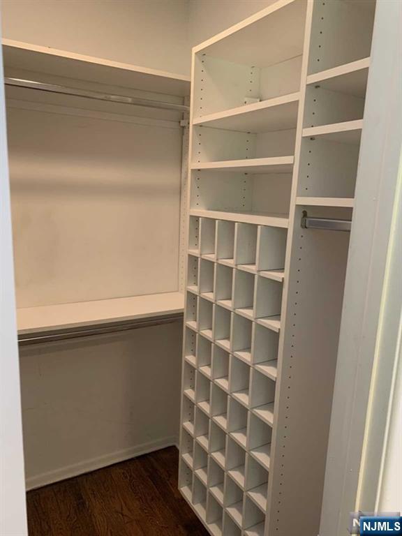 225 Doxey Drive Park Ridge, NJ 07656 - Photo 21 of 30 a close up view of walk in closet