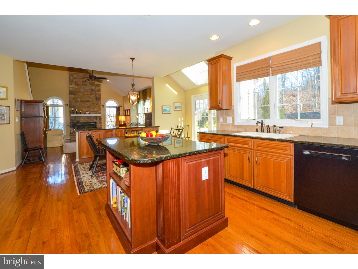 3697 Green Ridge Road Furlong, PA 18925 - Photo 6 of 25 Kitchen