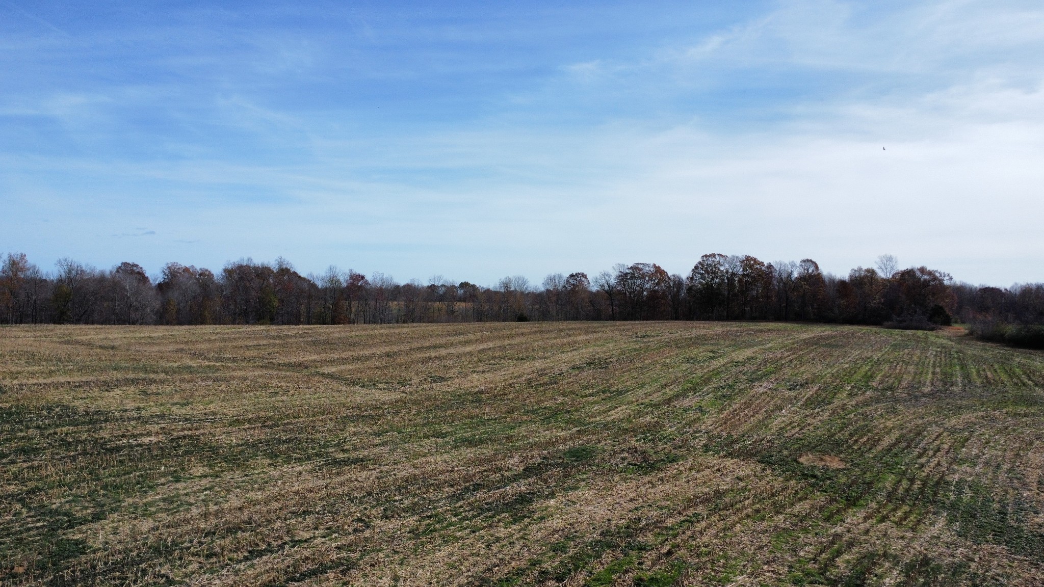 0 Fall River Road Pulaski, TN 38478 - Photo 3 of 8 a view of lake and mountain view