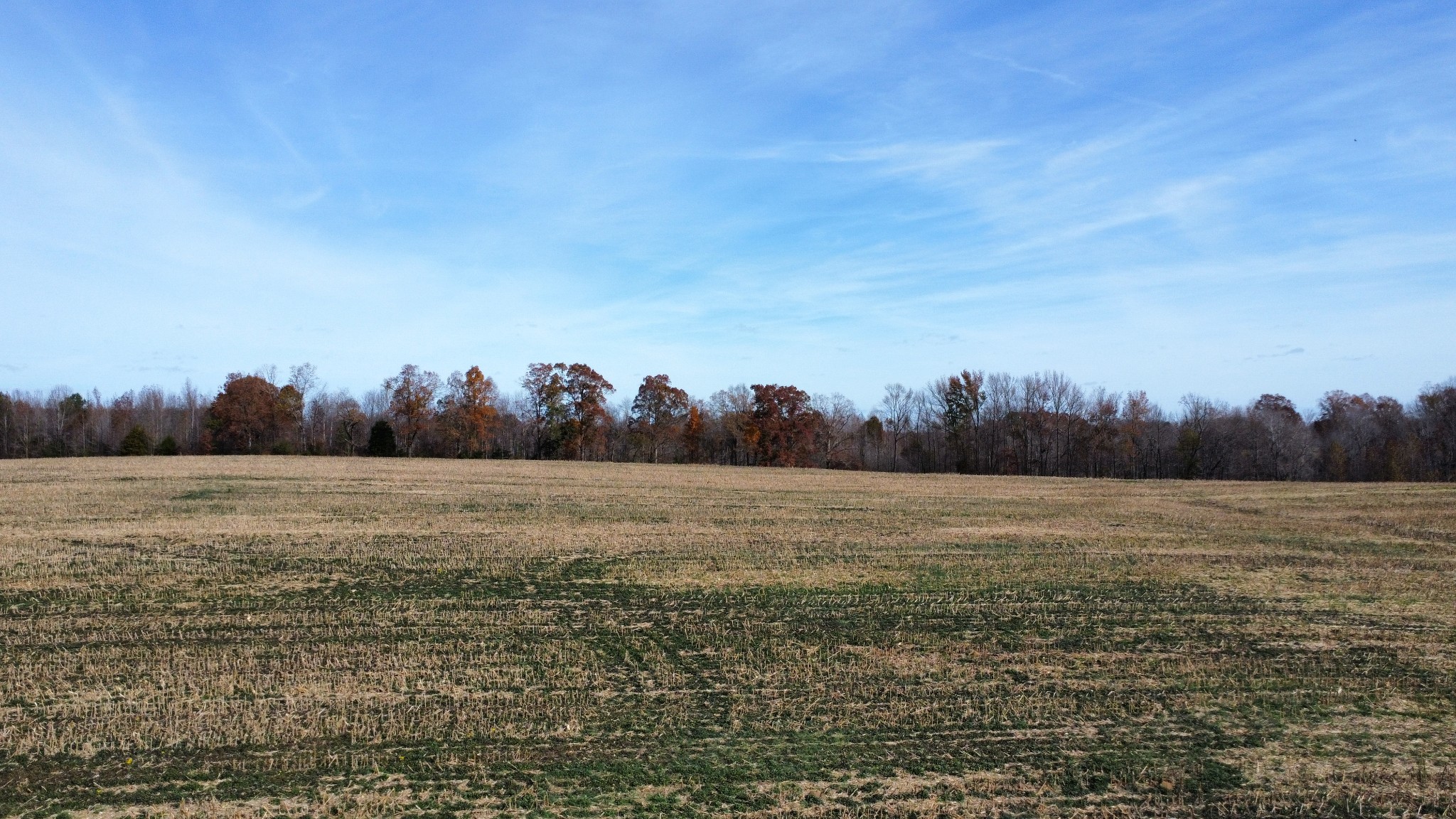 0 Fall River Road Pulaski, TN 38478 - Photo 4 of 8 a view of an ocean beach and mountain