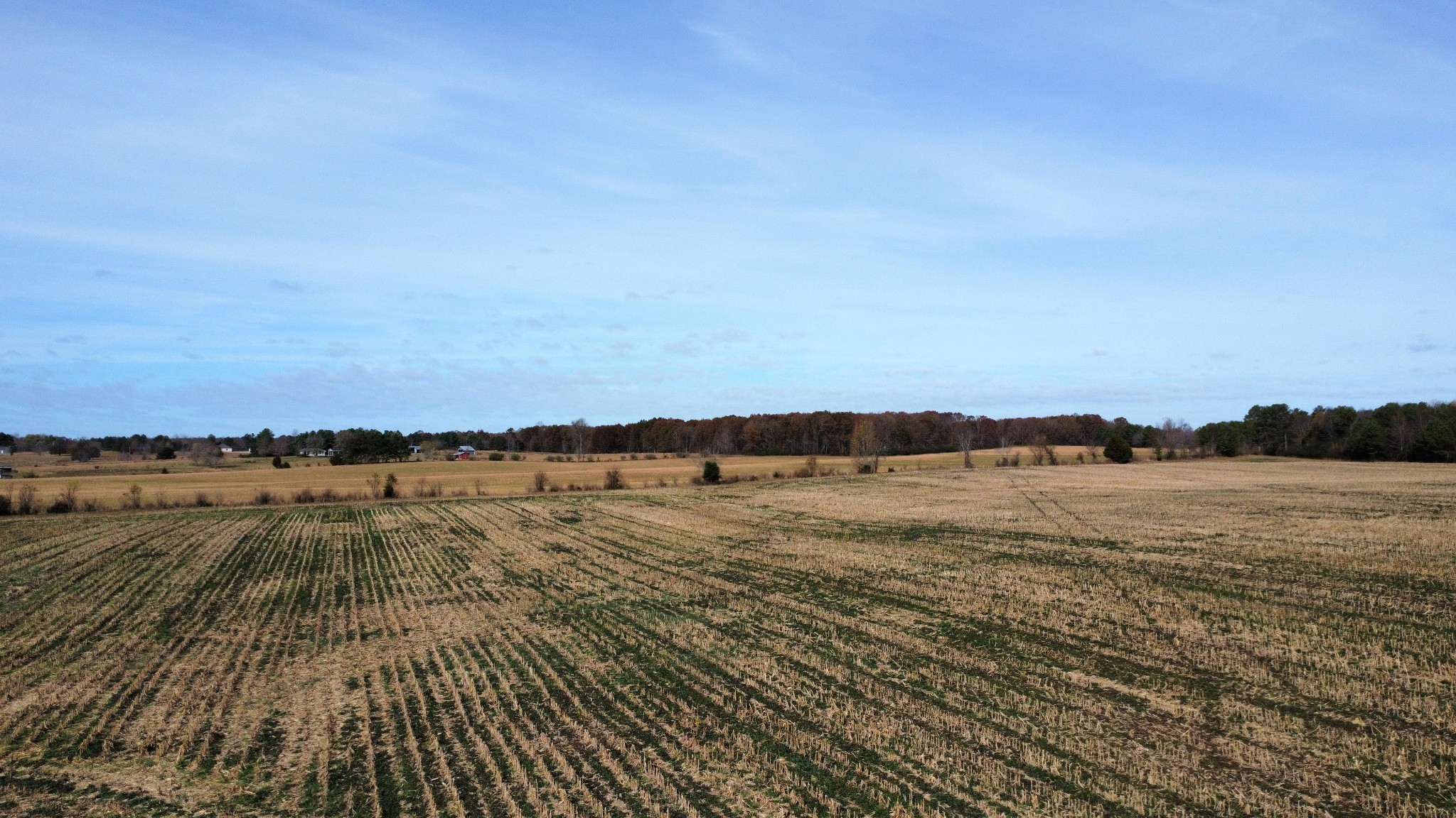 0 Fall River Road Pulaski, TN 38478 - Photo 5 of 8 a view of an ocean