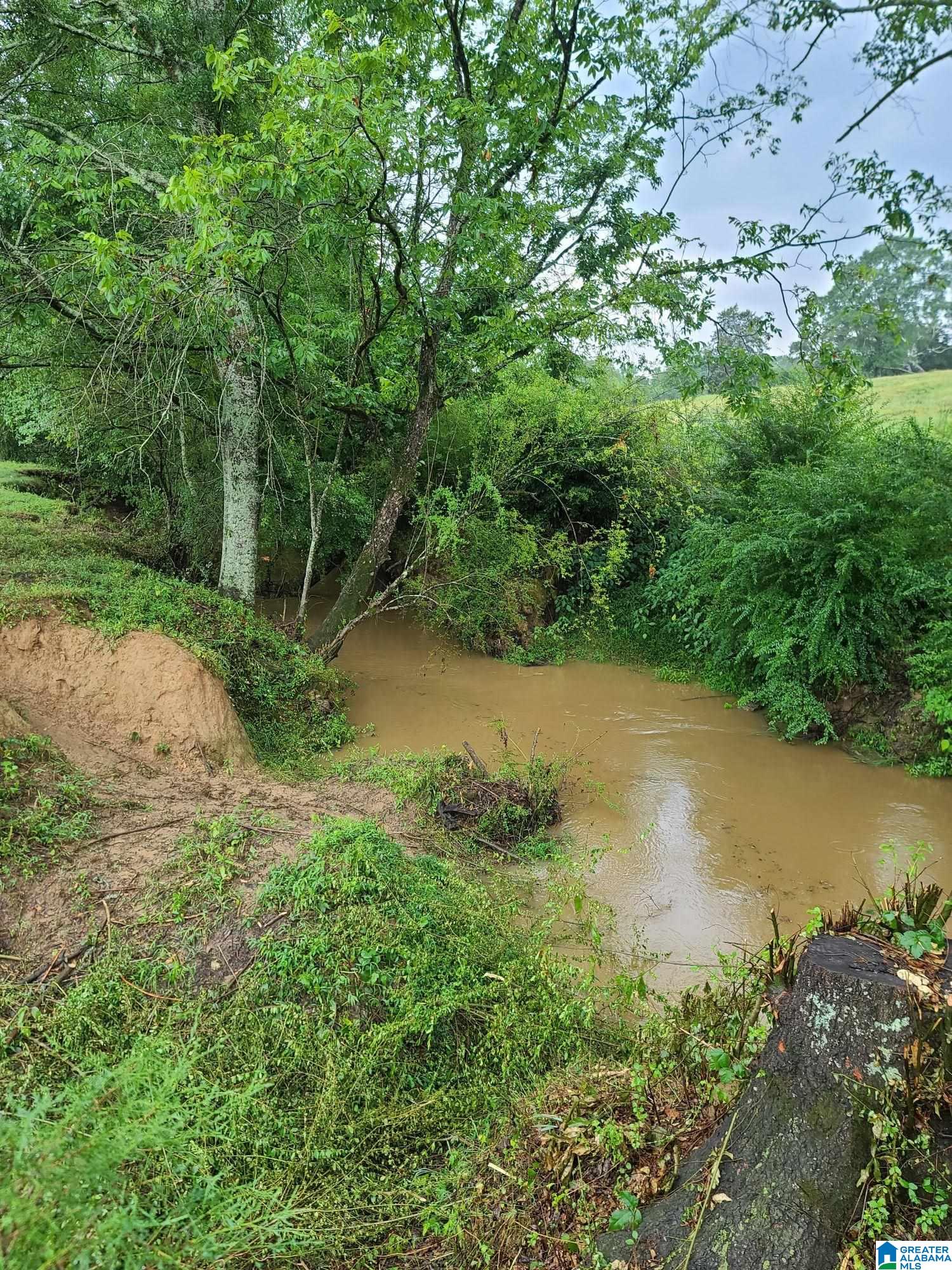 435 Lee Cutoff Road Pell City, AL 35125 - Photo 82 of 83