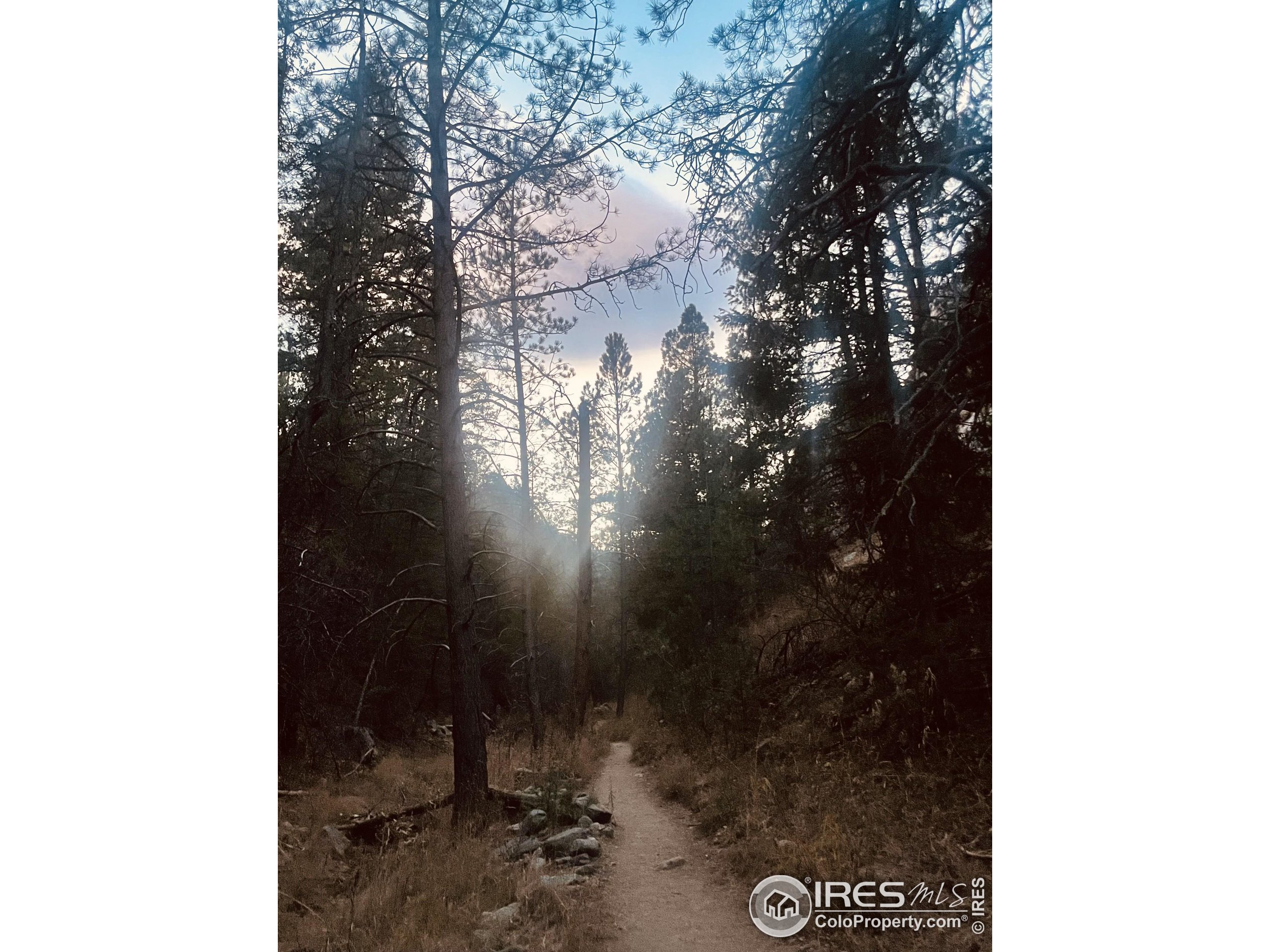 1037 Wagonwheel Gap Road Boulder, CO 80304 - Photo 3 of 43 a view of a street