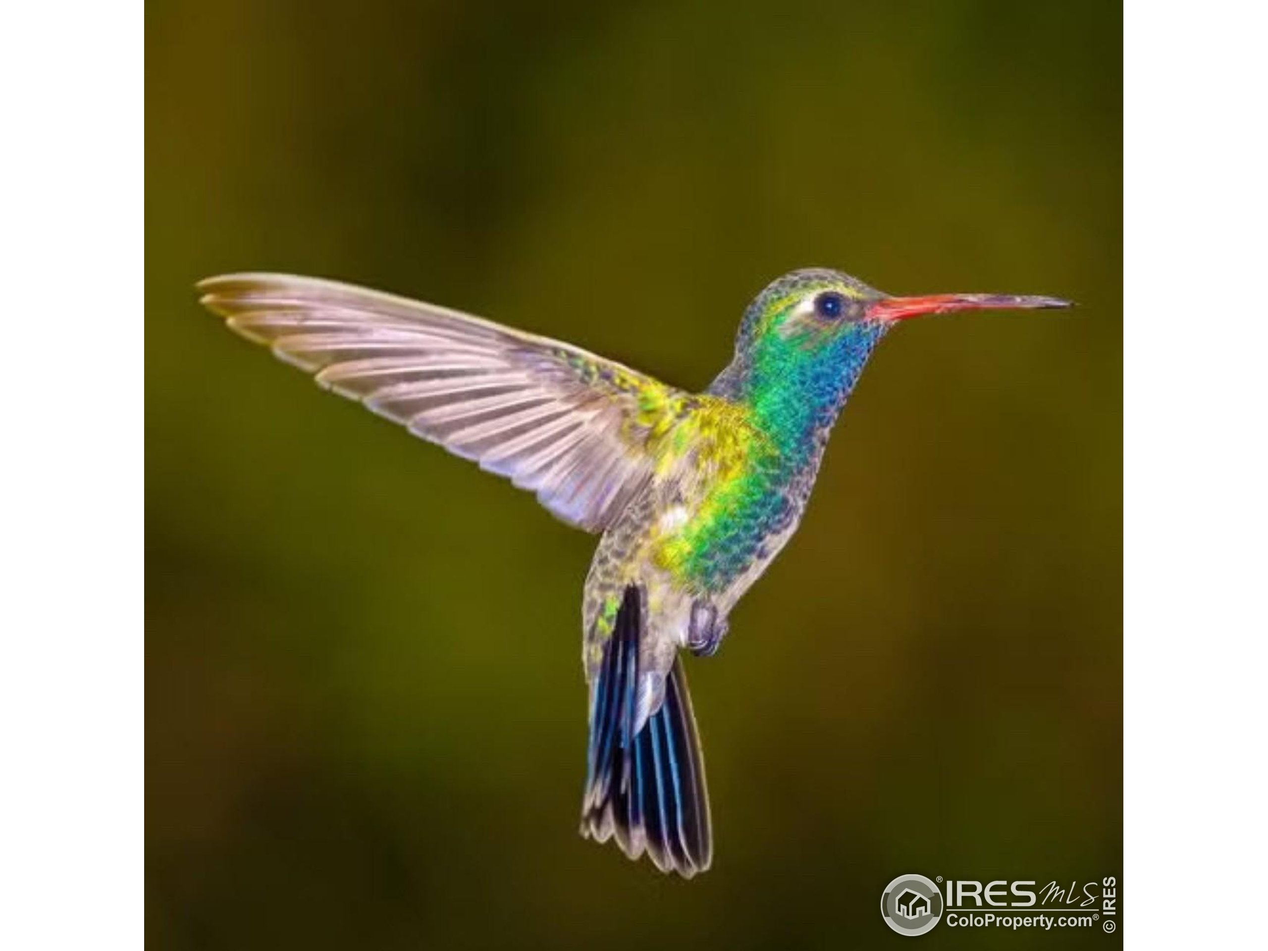 1037 Wagonwheel Gap Road Boulder, CO 80304 - Photo 5 of 43 a view of balcony