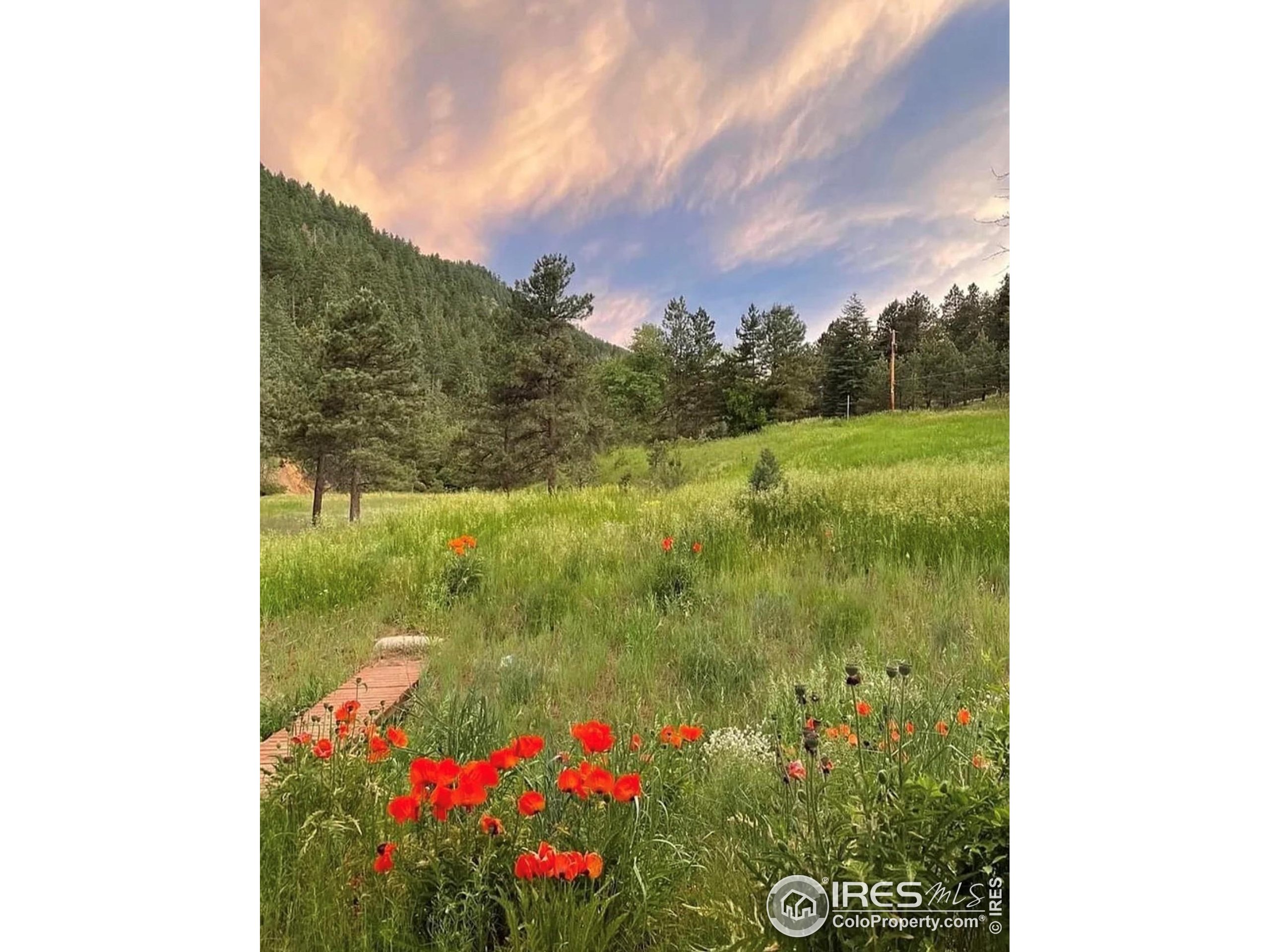 1037 Wagonwheel Gap Road Boulder, CO 80304 - Photo 7 of 43 a view of a garden