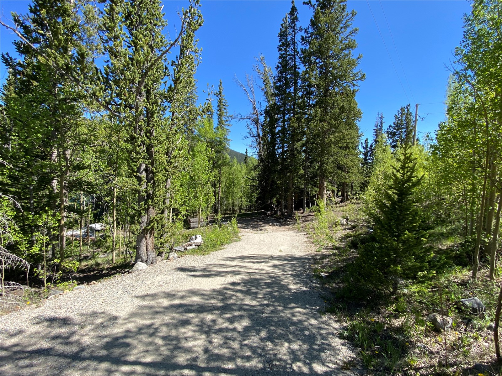 522 Quartzville Road Alma, CO 80420 - Photo 39 of 46