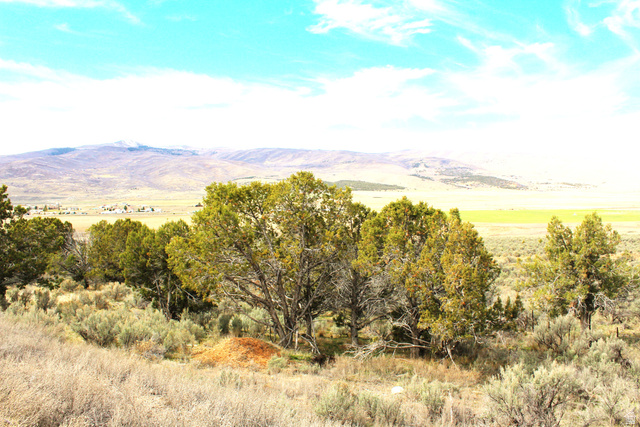 North W, Unit 93 Fairview, UT 84629 - Photo 19 of 23