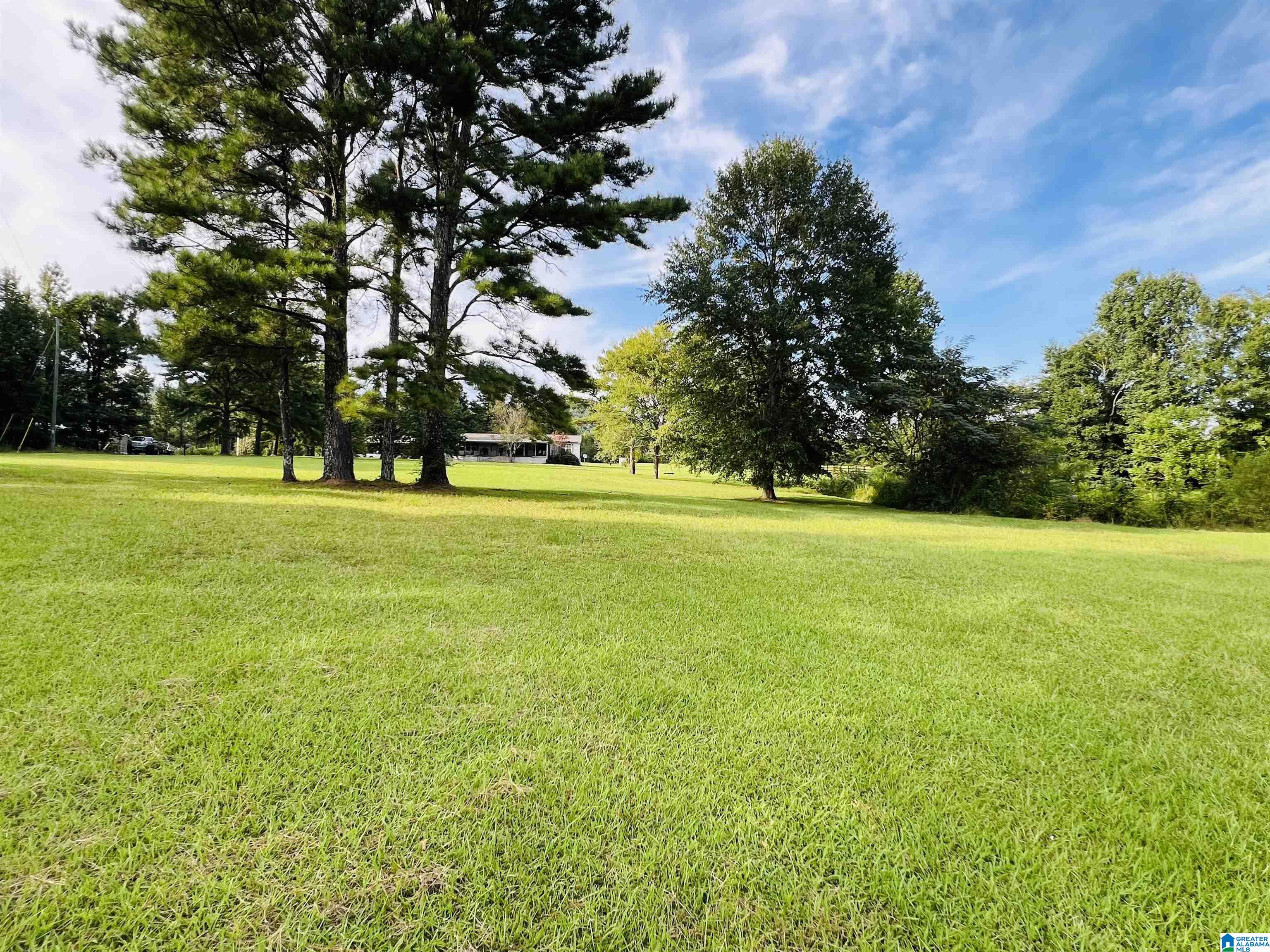 70 Armstrong Road Ashville, AL 35953 - Photo 17 of 67