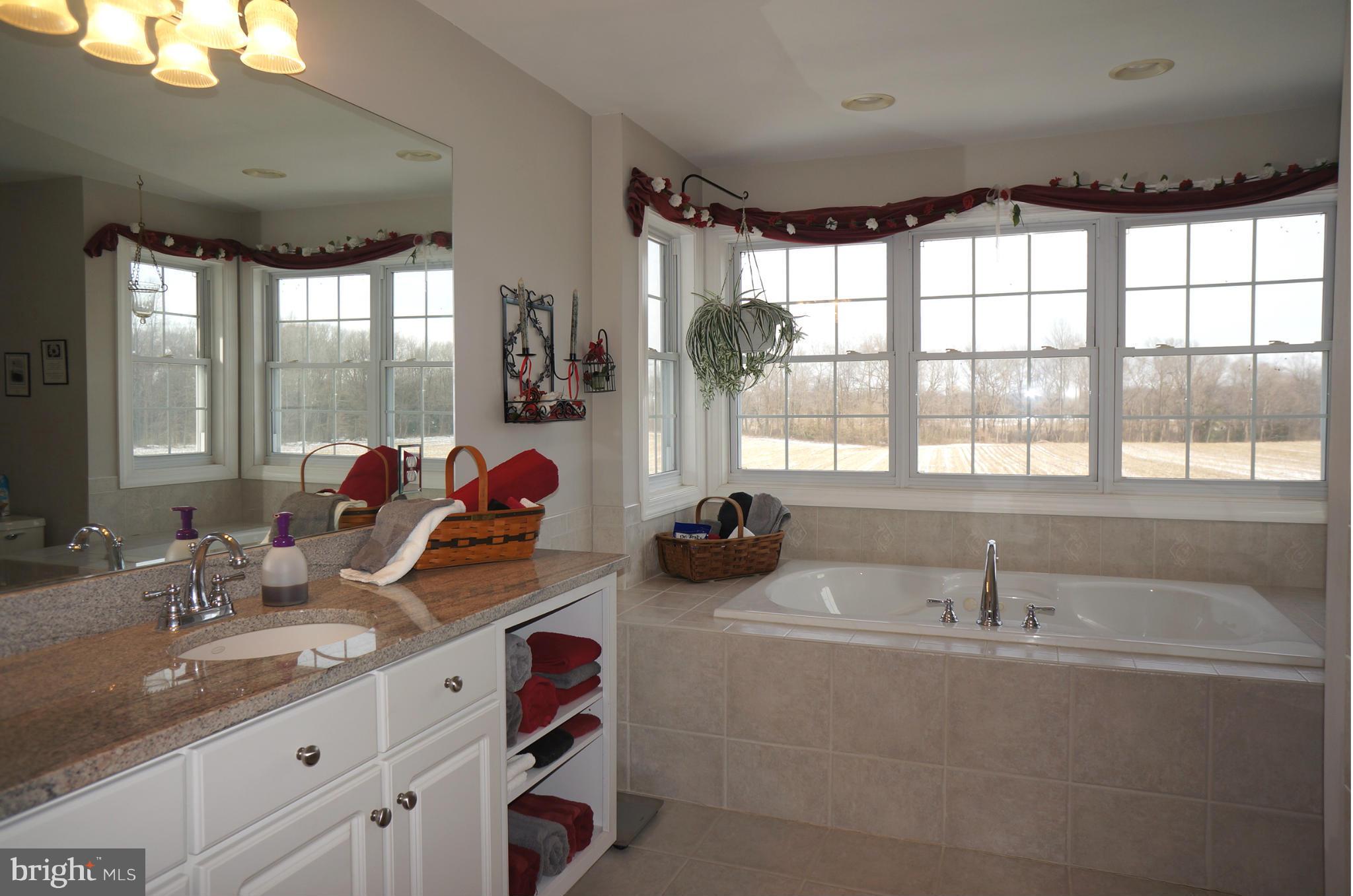 2504 Ruthsburg Road Centreville, MD 21617 - Photo 21 of 30 Bath (Master)