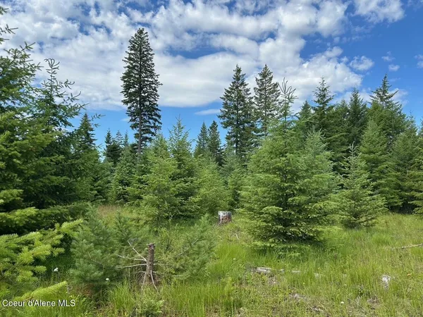 $391,000 | 2222a Bonners Ferry, Bonners Ferry, ID 83805