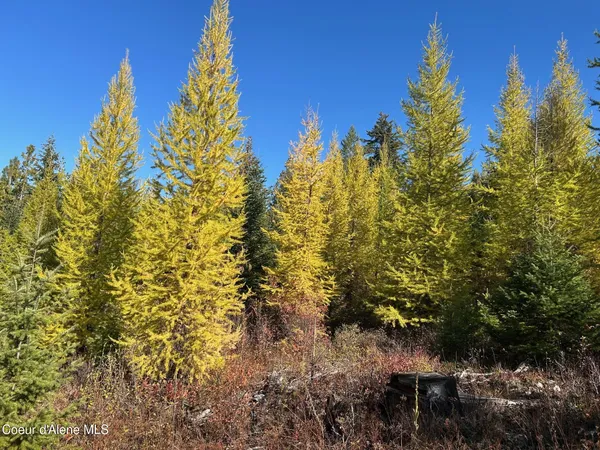 $391,000 | 2222a Bonners Ferry, Bonners Ferry, ID 83805