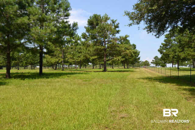 27608 County Road 65 Loxley, AL 36551 - Photo 12 of 32 Lots of