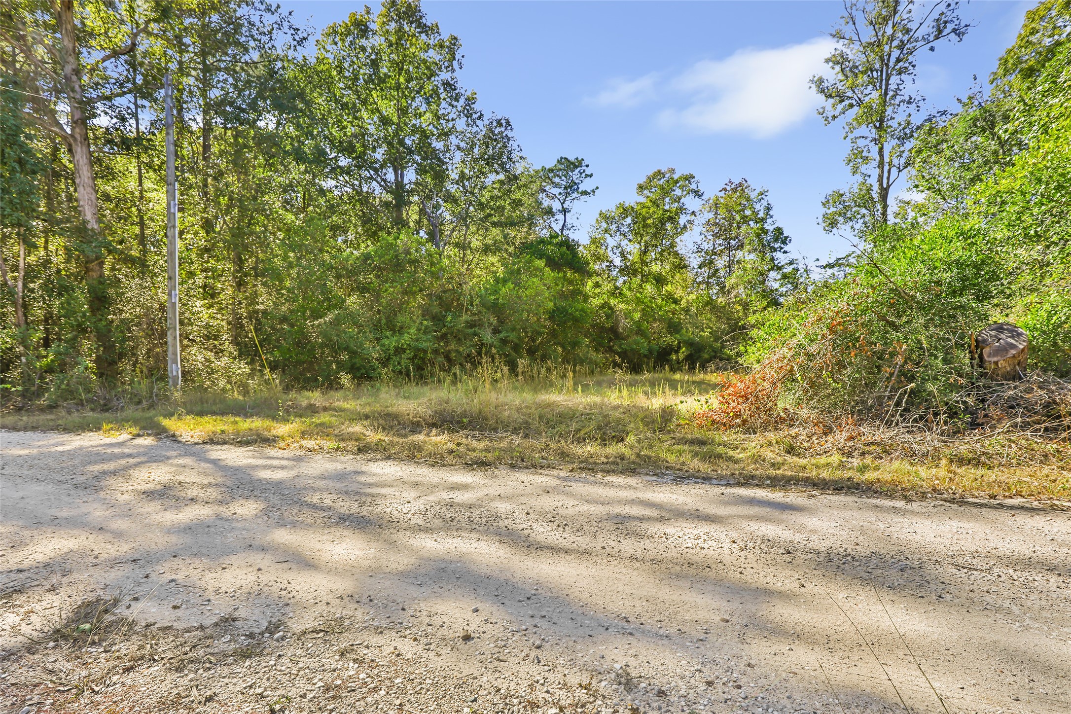 1224 Plum Pudding Road Livingston, TX 77351 - Photo 4 of 11
