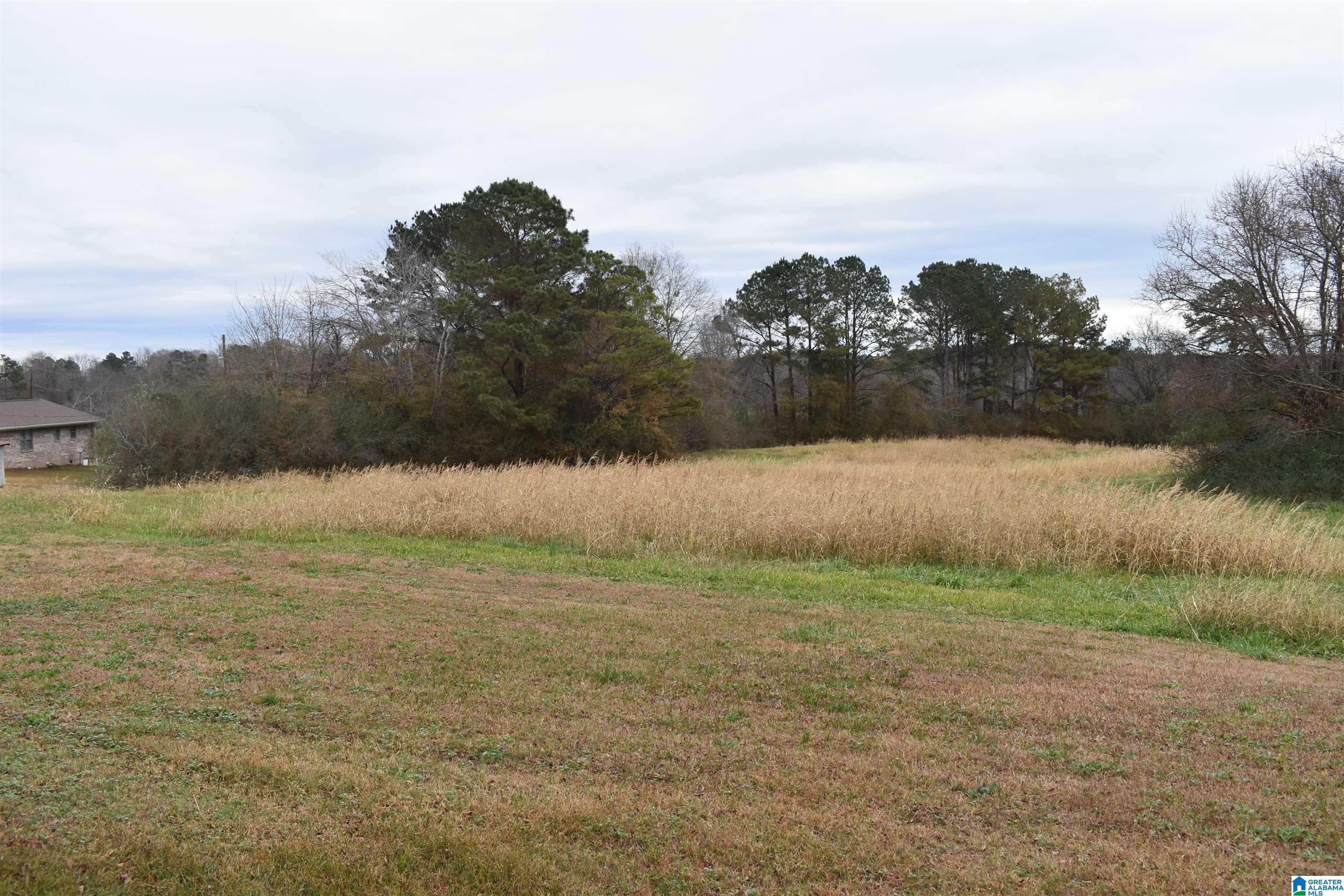 4723 Smith Lake Dam Road Jasper, AL 35504 - Photo 44 of 47