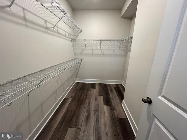 29249 Baker Island Road Lewes, DE 19958 - Photo 15 of 21 Primary closet