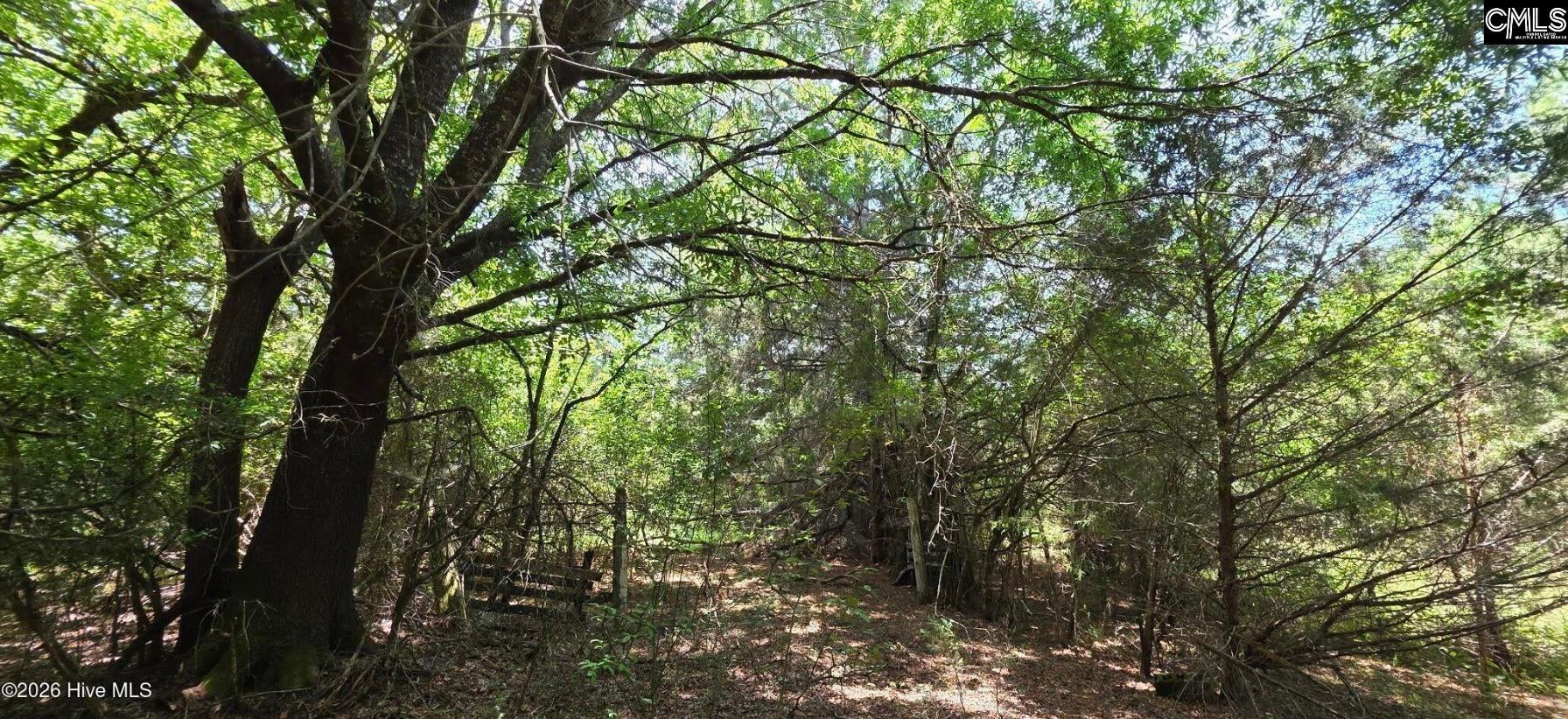 105-acres Chestnut Ridge Road McCormick, SC 29835 - Photo 2 of 4 Gallery Image 2